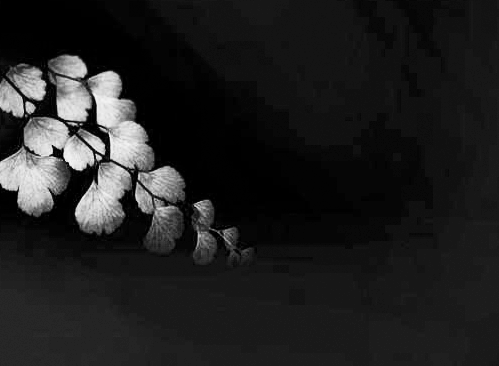 監控攝像頭畫面 監控攝像頭畫面